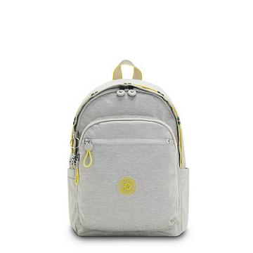 Mochilas Kipling Delia Classic Grises | MX 1554RV